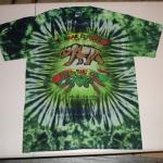 dyemasters tie dyed dye shirt tie-dye