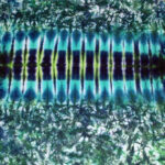 Blue Green Tire Tracks