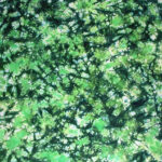 Green Marble tie dye